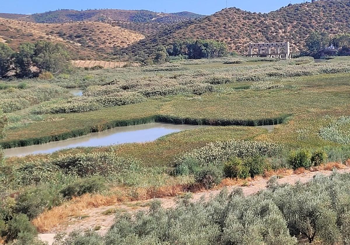 Estado actual que presenta el embalse del Cordobilla