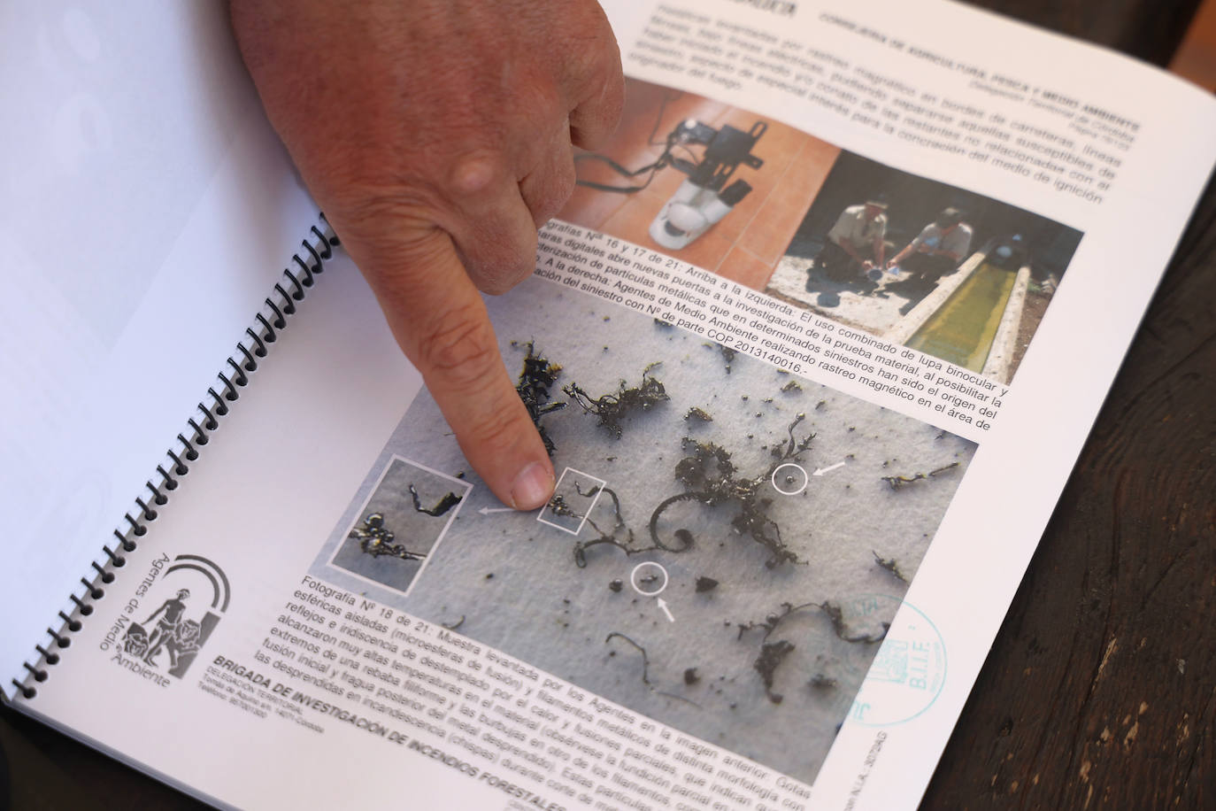 En imágenes, los efectivos del Infoca que sofocaron el incendio más devastador del verano en Córdoba