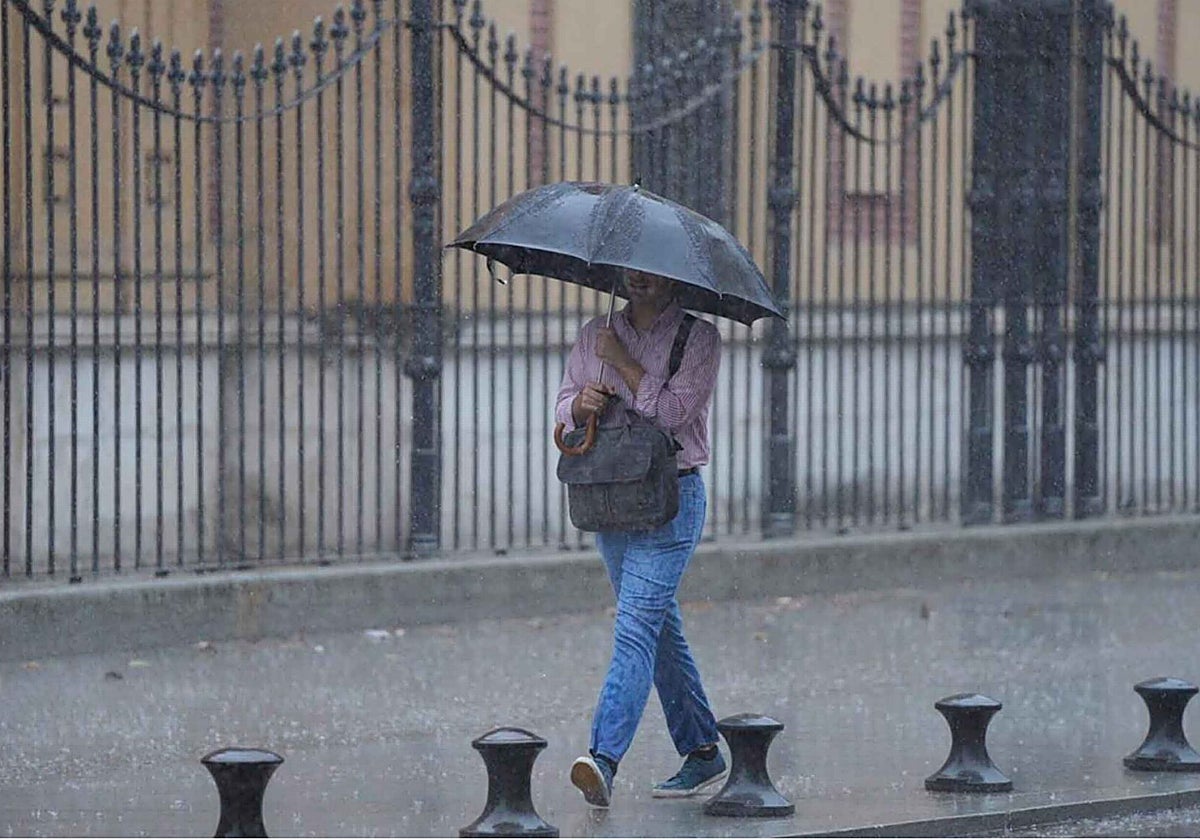 Una persona se cubre con el paraguas durante un día de lluvia en Sevilla