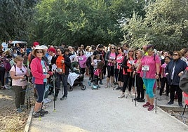 Toledo camina contra el cáncer de mama: sonrisas, abrazos y concienciación en la senda del Tajo
