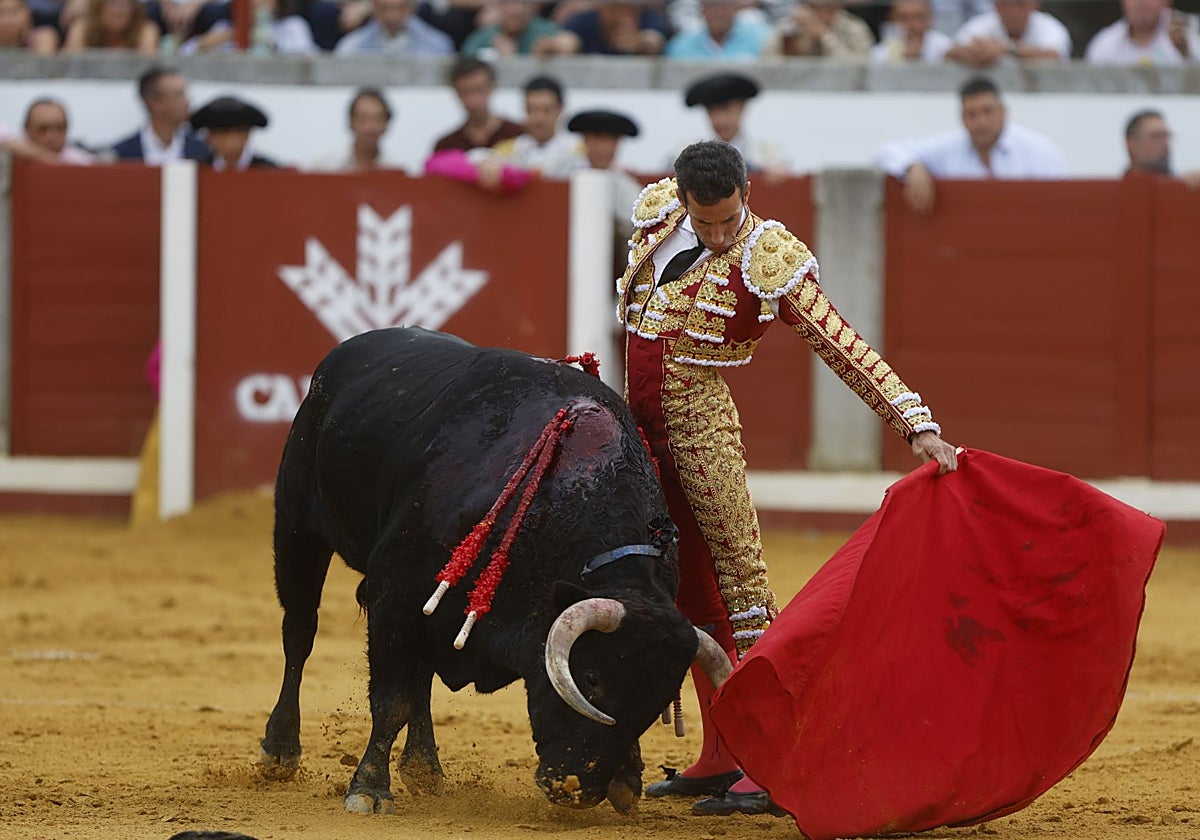 David de Miranda, con uno de sus toros