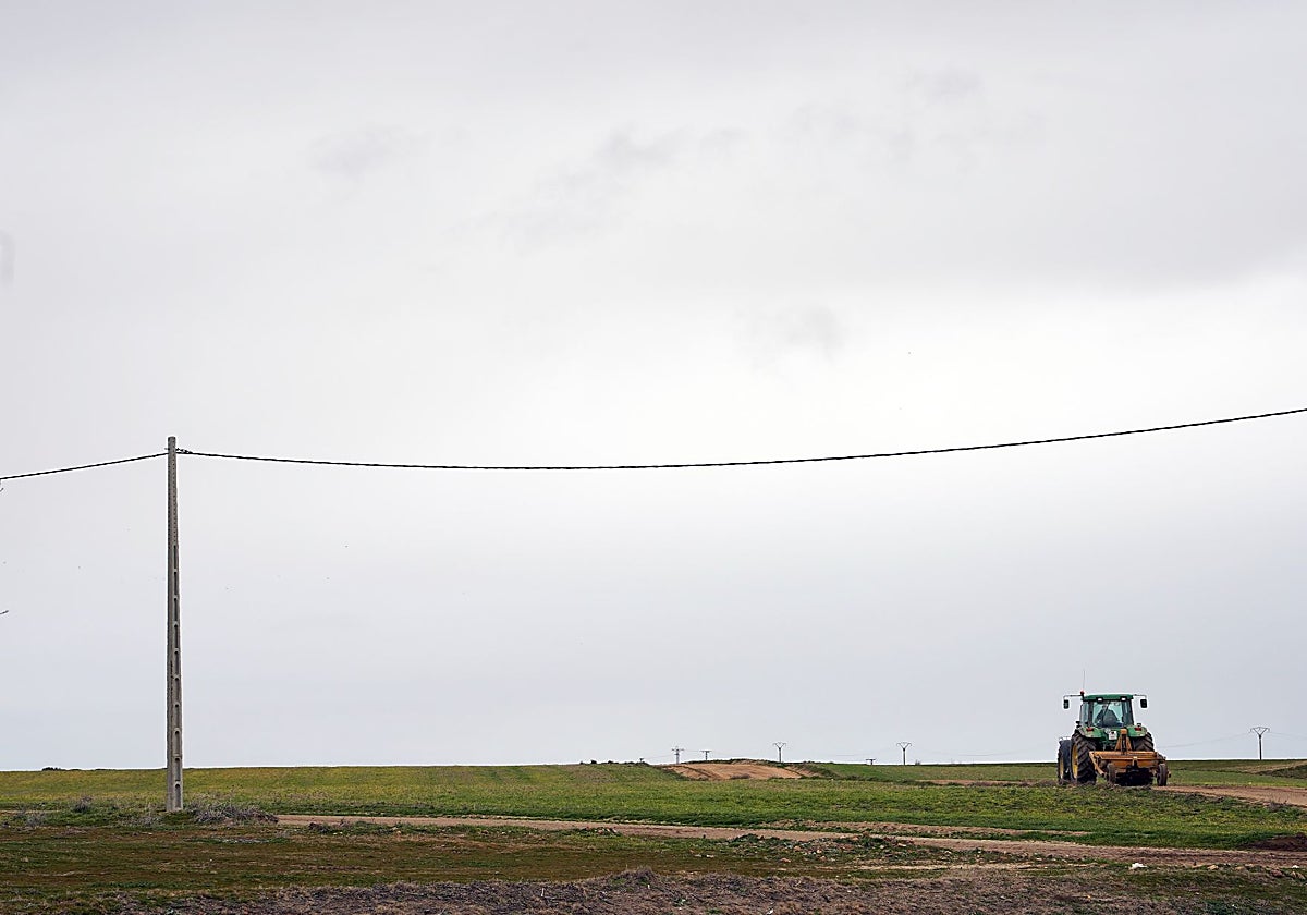 Cañones y mantequilla