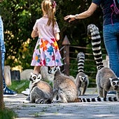 El lugar de Valencia reconocido como una de las mejores atracciones del mundo: «No defrauda»
