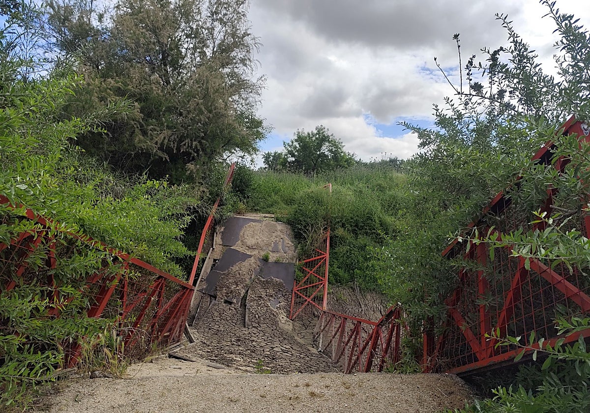 El puente del circuito, destruido por la vegetación