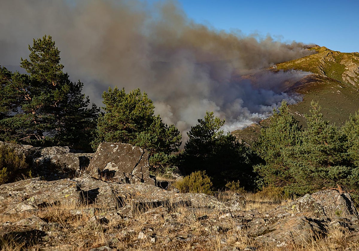 Parte de la zona afectada del Pico del Lobo