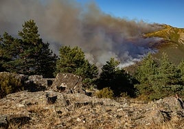 El incendio del Pico del Lobo baja este martes a nivel 0 después de nueve días de trabajos de extinción