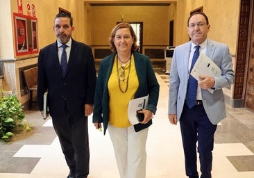 La Diputación de Toledo aprueba por unanimidad el 'mayor contrato de su historia' en carreteras: 223 millones en 20 años