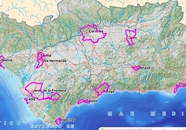 La Junta lanza una bolsa de suelo para favorecer la construcción de 41.000 viviendas a precios asequibles en Andalucía