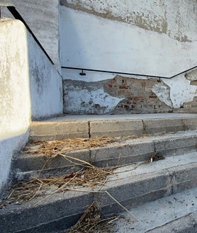 Imagen secundaria 2 - La portavoz del PP en el Ayuntamiento de Illescas, Alejandra Fernández, denuncia el estado de «abandono lamentable» del camposanto antiguo de la localidad estado «lamentable», que presenta vegetación sin controlar, ramas apoyadas peligrosamente sobre los tejados de los nichos y situaciones de deterioro extremo como nichos con ataúdes abiertos, lo que genera un importante foco de insalubridad