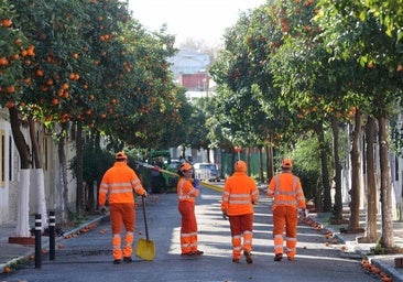 Esta es la lista provisional de aprobados para 176 plazas de peón en Sadeco