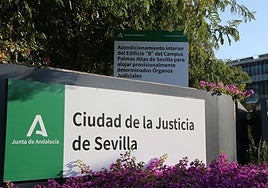 Las necesidades de los juzgados de Género de Andalucía, provincia a provincia