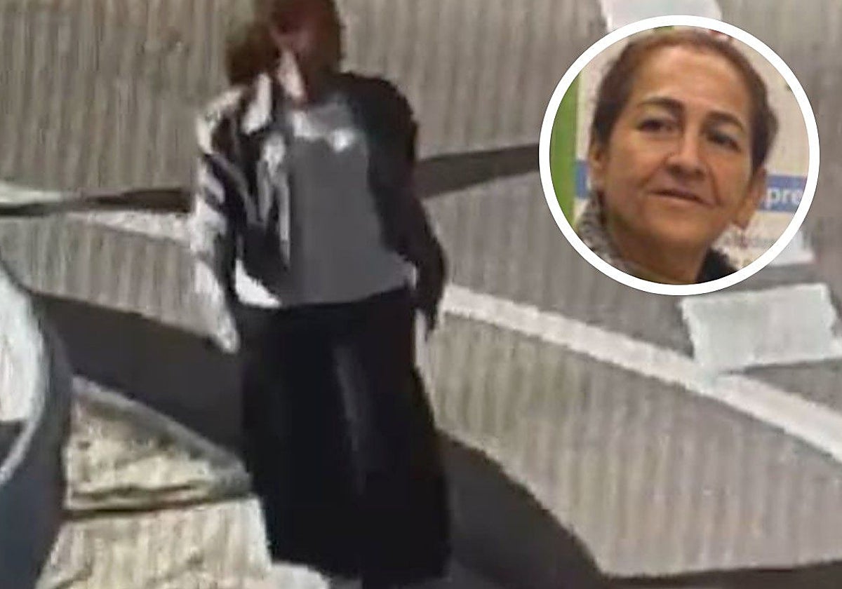 Orlinda (izquierda) transnita, ya extraviada, por el arcén de una carretera próxima al aeropuerto de Madrid Barajas