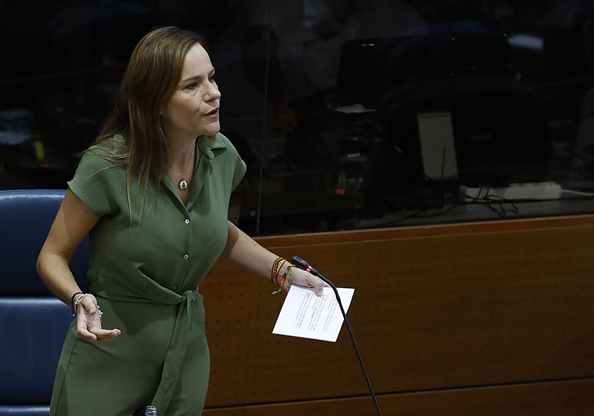 La portavoz de Vox en la Asamblea de Madrid, Isabel Pérez Moñino