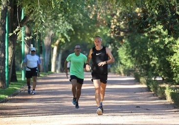 El Gobierno autoriza 12 millones en ayudas para el plan de inversiones del Ayuntamiento en el distrito Sur