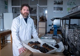 Javier Madrigal: «La regeneración natural de Las Médulas va a ser buena. Sus especies están adaptadas a los incendios»