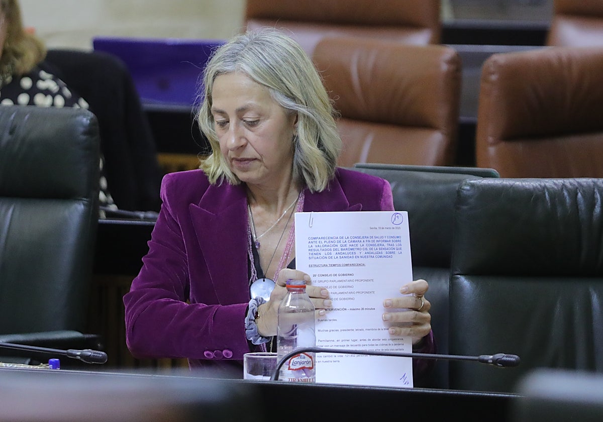 La consejera Rocío Hernández, en el Parlamento