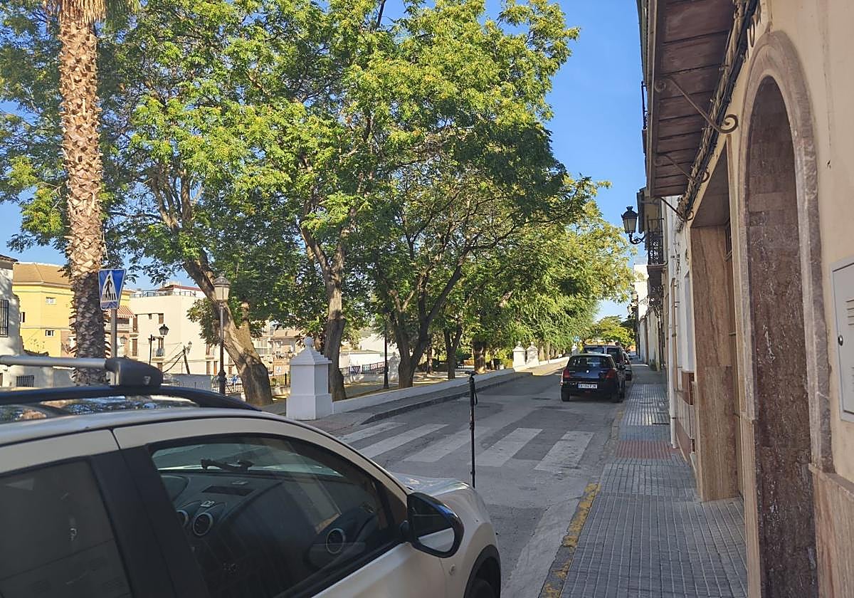 Calle en la que fue detenido el presunto autor del intento de abuso