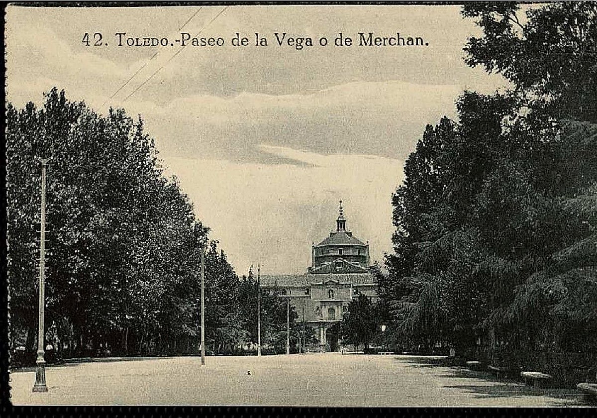 Salón central del parque de la Vega, al fondo, la fachada del Hospital de Tavera. Destaca la frondosa arboleda de los corpulentos plátanos de sombra, además de tilos, olmos, pinos o cedros del Líbano. Postal editada por Grafos hacia 1912