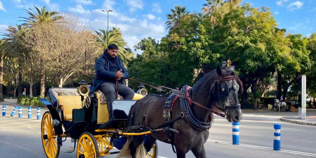 Málaga completa la retirada de los coches de caballos