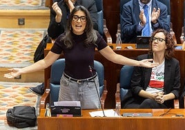 Los insultos de Más Madrid al portavoz del PP en la Asamblea: «Genocida, impresentable, sinvergüenza»