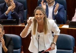 El PSOE de Madrid lleva a todos los ayuntamientos una moción para exigir a Ayuso que garantice «el derecho al aborto»