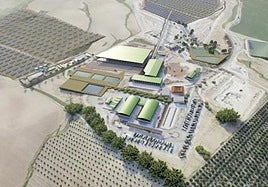 Sadeco empieza la obra de la planta de fertilizantes, proyecto inicial de su polo verde