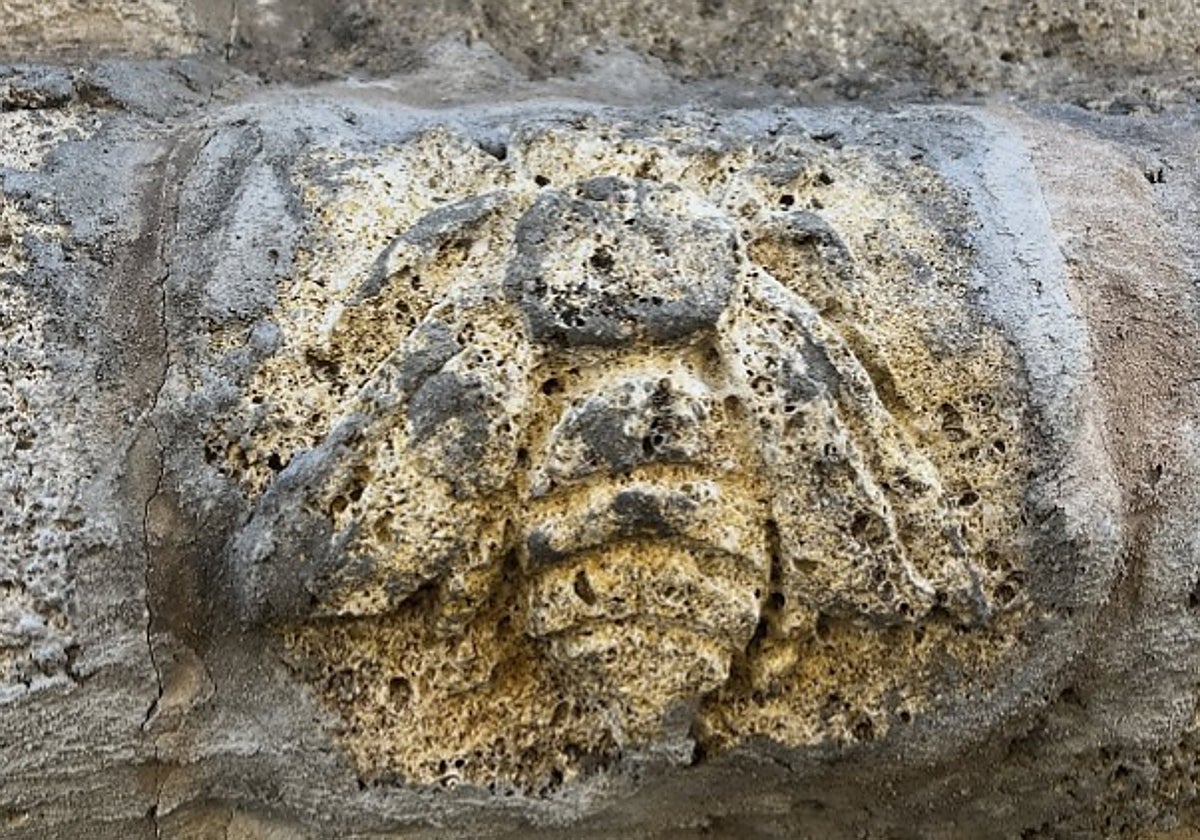 ¿La abeja del Pilar es obra del 'Bansky' aragonés?