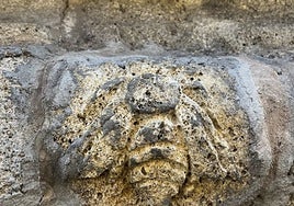 El misterio de la basílica del Pilar en plenas fiestas: aparece una abeja esculpida en una fachada