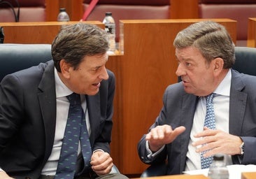 La Junta compara al PSOE con la 'Cosa Nostra' y le recuerda el consumo de «lechugas y chistorras»