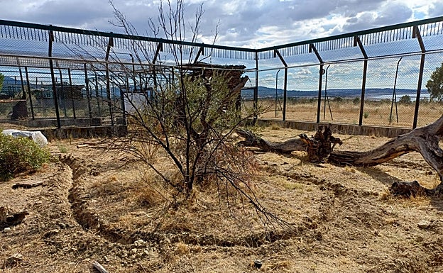 Instalación de la fibra óptica en el área de reintroducción del lince ibérico