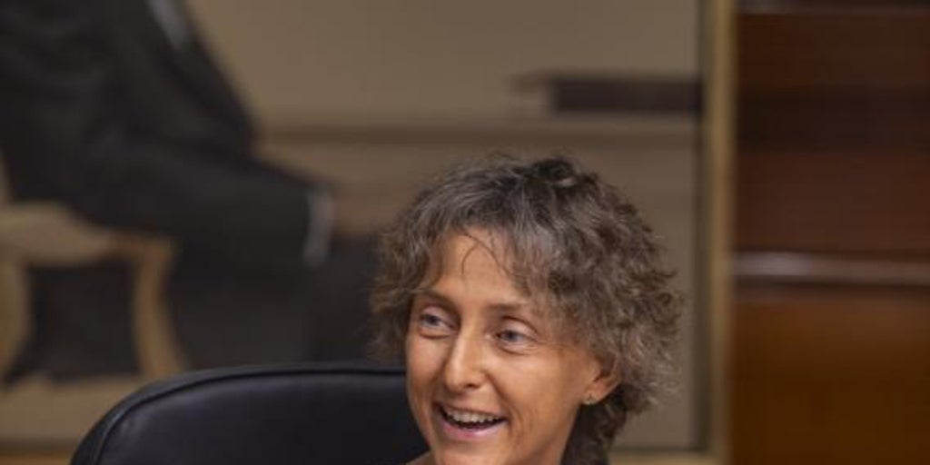 El Constitucional suprime cuatro párrafos que beneficiaban a Puigdemont con la amnistía