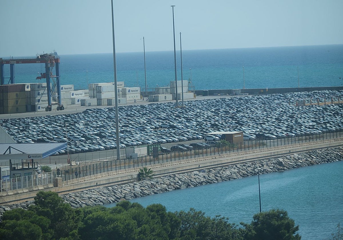 Una hilera de coches chinos en el aparcamiento del Puerto de Málaga
