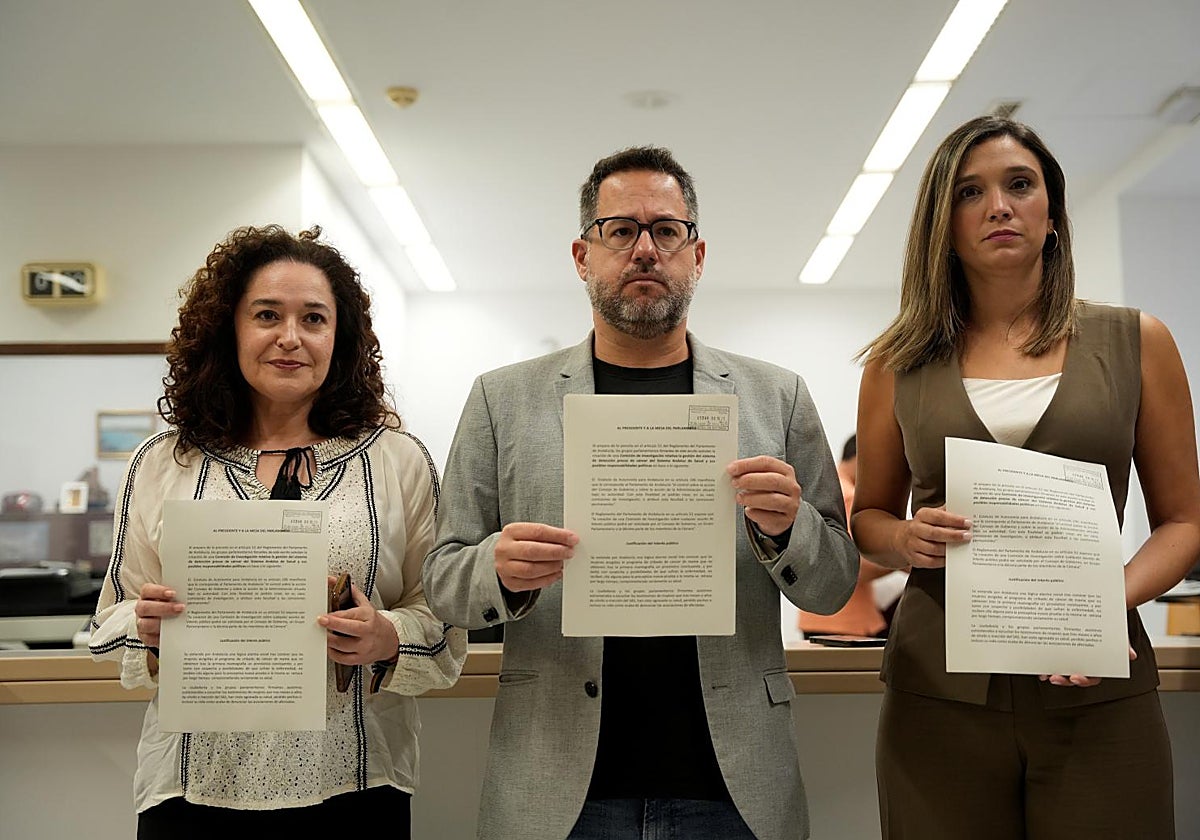 Inma Nieto, José Ignacio García y María Márquez en el registro del Parlamento