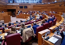 Las Cortes de Castilla y León piden el «cese inmediato» de la ministra de Igualdad por los «graves fallos» en las pulseras antimaltrato