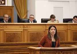 Nuevo choque político sobre los menas: Vox exige datos «reales» y la Junta responde que son «transparentes»