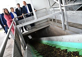 Castilla-La Mancha reclama a la Unión Europea un programa específico para el olivar en la nueva PAC