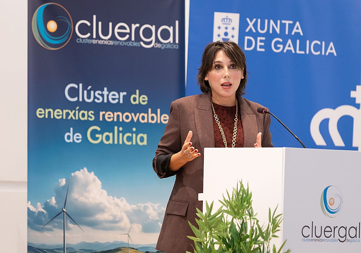 La conselleira de Economía e Industira, María Jesús Lorenzana