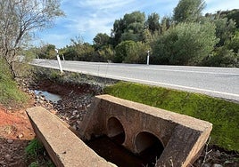 La Junta de Andalucía colocará más de 15 kilómetros de vallado y pasos alternativos para proteger al lince ibérico en carreteras de Córdoba