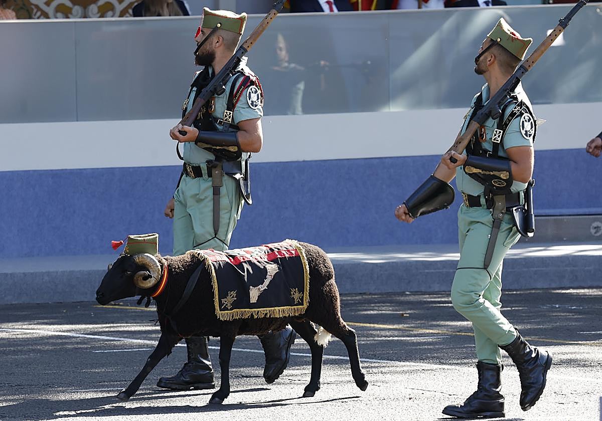 Baraka, la mascota de la Legión, desfila frente al palco de autoridades