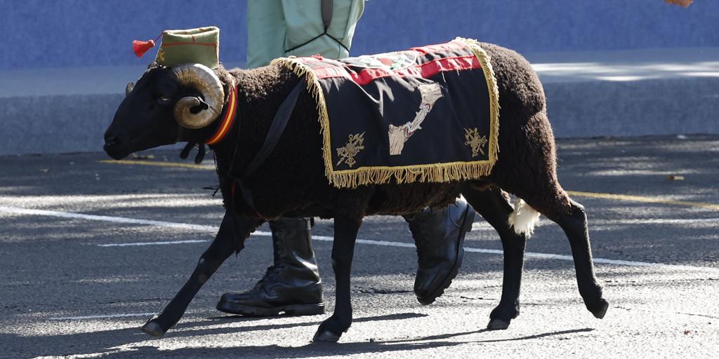 MADRID EN EL DESFILE: APLAUSOS AL REY, ABUCHEOS A SÁNCHEZ Y LA ATRACCIÓN DEL MACHO LEGIONARIO BARAKA