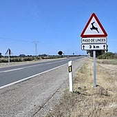 Andalucía pone vallas con energía solar contra los atropellos de linces ibéricos en carreteras de Sevilla y Córdoba