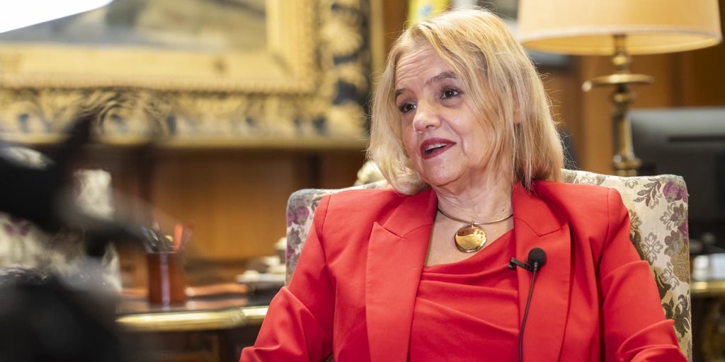Astray (TSJCM) descarta que Peinado quiera influir en política al investigar a Begoña y pide normalizar estas causas
