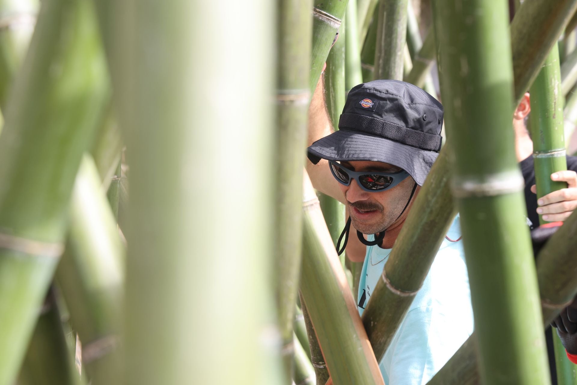 El arranque del montaje de Flora 2025, en imágenes