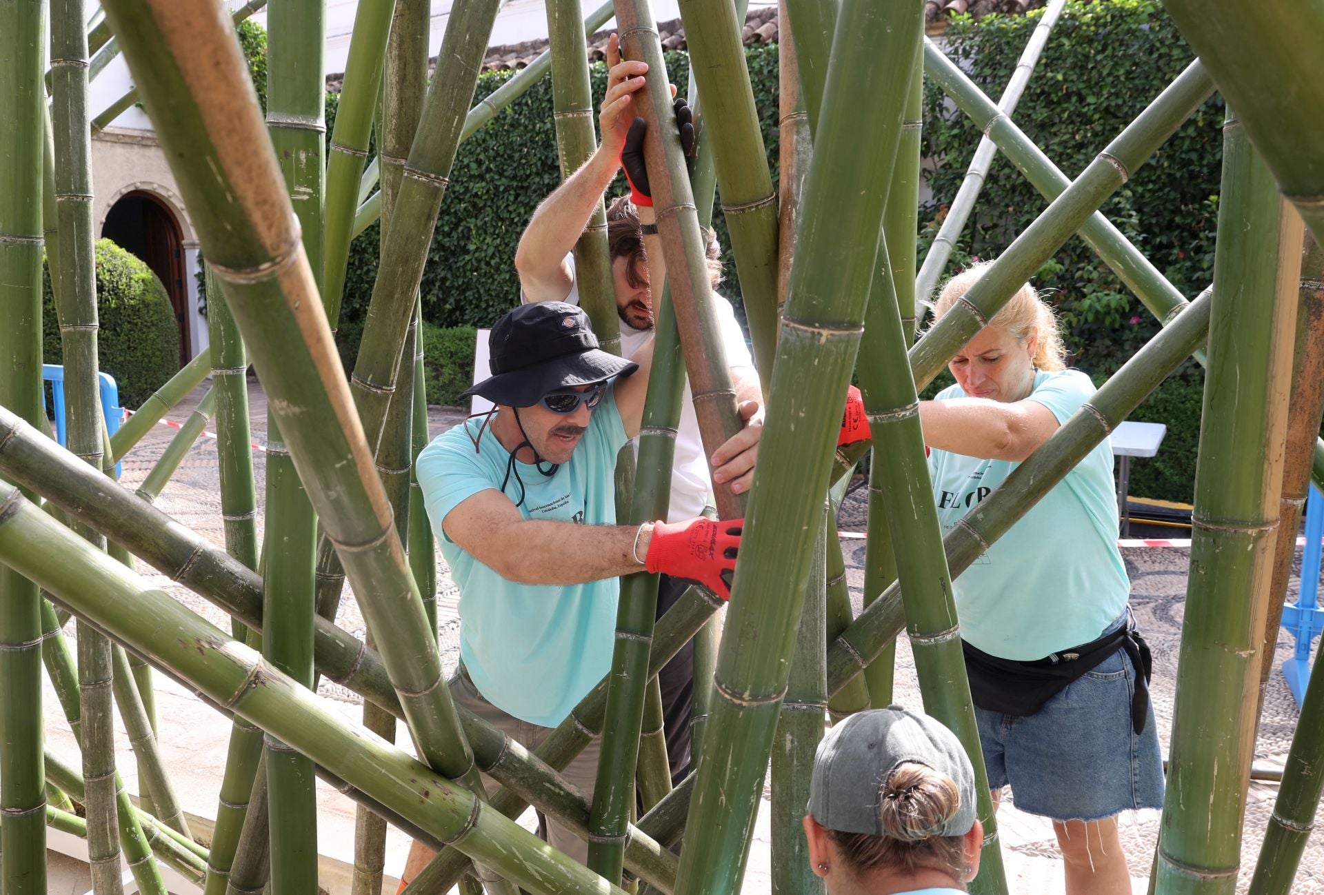 El arranque del montaje de Flora 2025, en imágenes