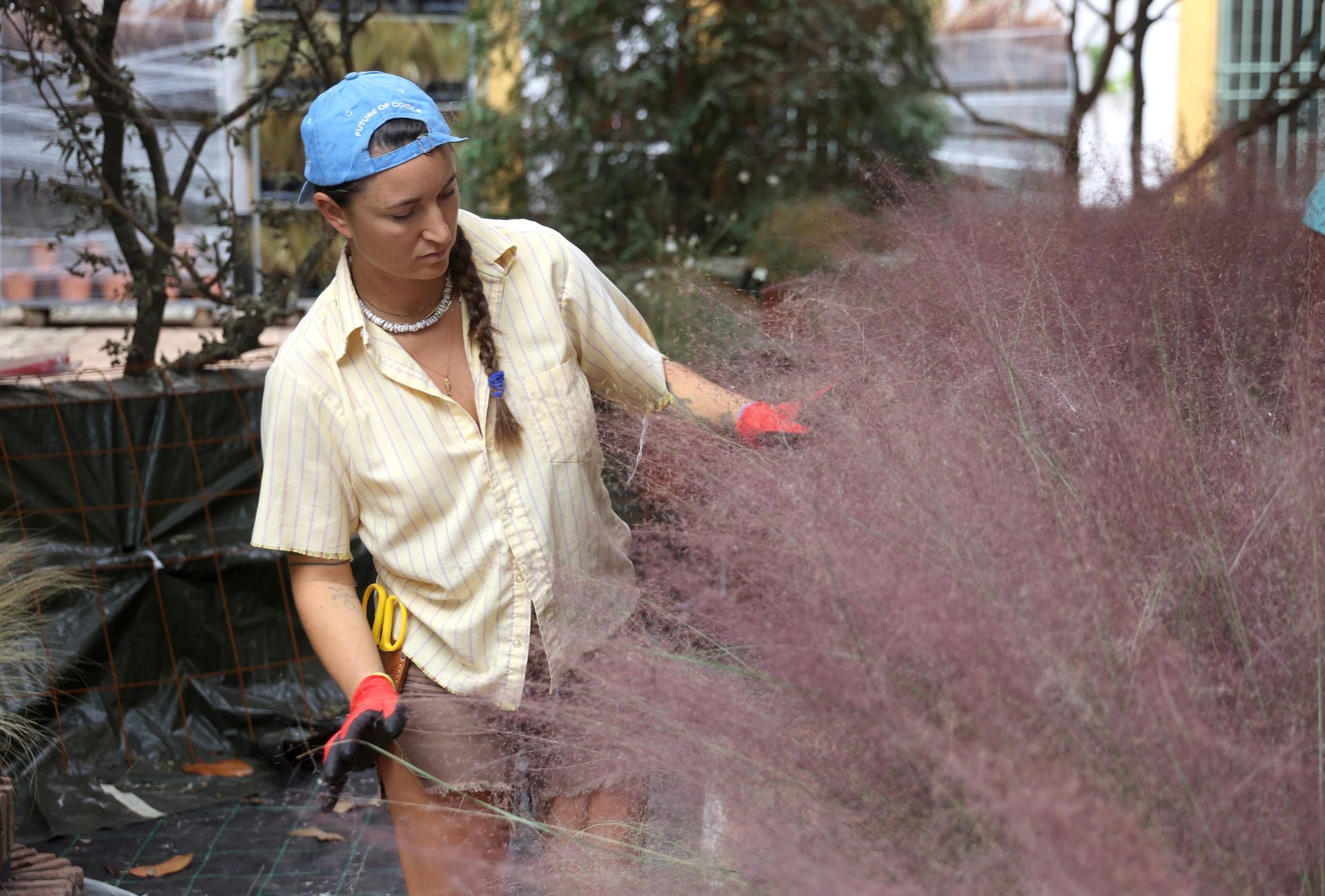 El arranque del montaje de Flora 2025, en imágenes