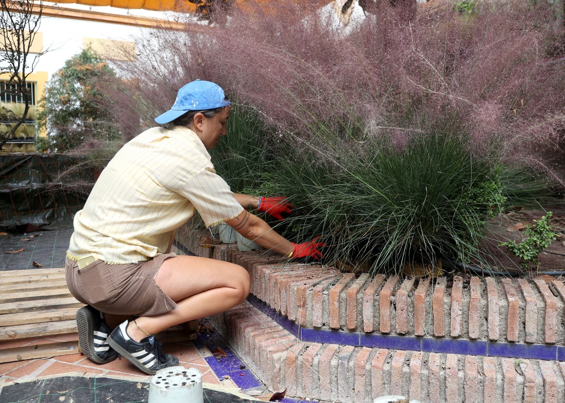 El arranque del montaje de Flora 2025, en imágenes