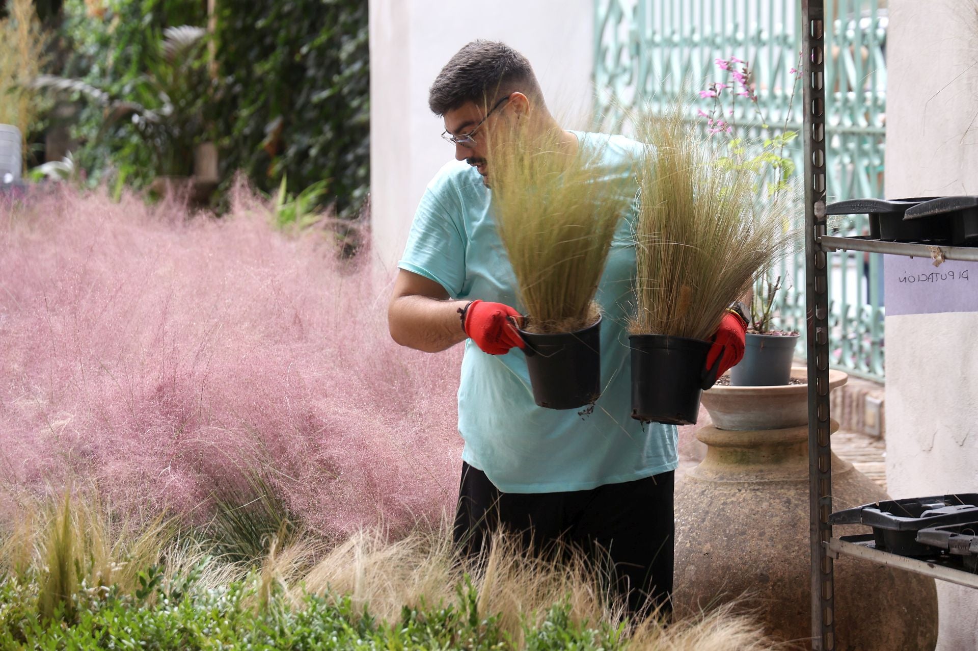 El arranque del montaje de Flora 2025, en imágenes