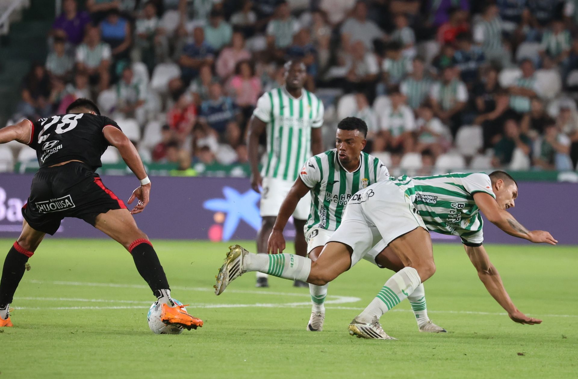 El Córdoba CF-Cultural Leonesa, en imágenes
