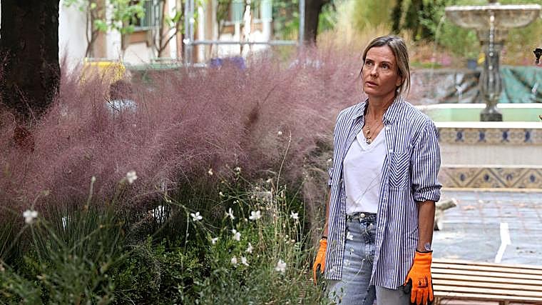 Germina el montaje de Flora: los patios de Córdoba se preparan para florecer