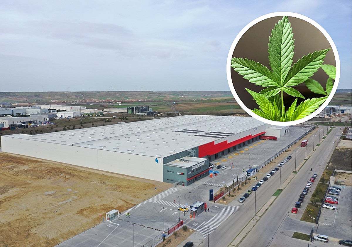 Despiden a un trabajador en Burgos por llevar una tarta de marihuana para celebrar su cumpleaños: dos compañeros acabaron intoxicados